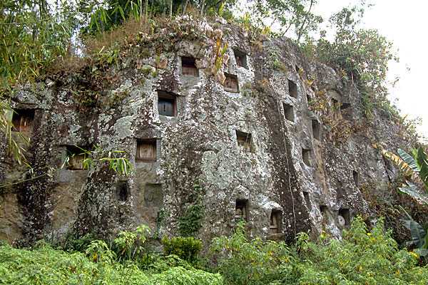 grobowce wydrążone w skale. plemię Toraja